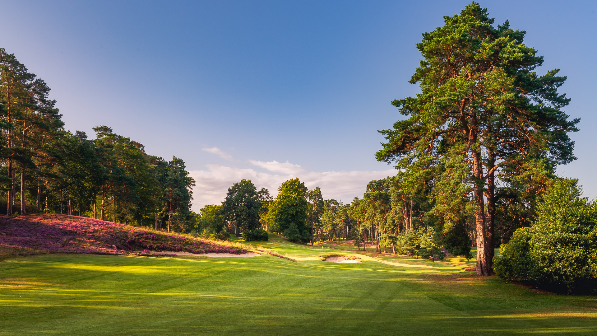 10th-Hole-St-Georges-Hill-Golf-Club-2228-Edit
