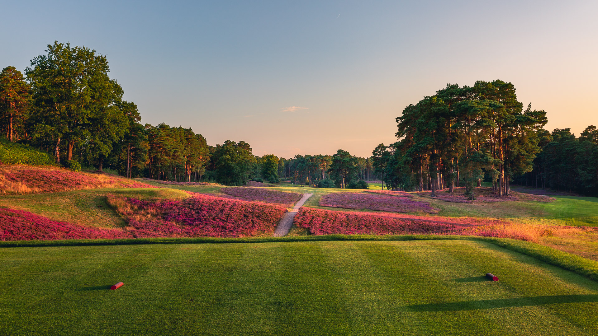10th-Hole-St-Georges-Hill-Golf-Club-2270-Edit