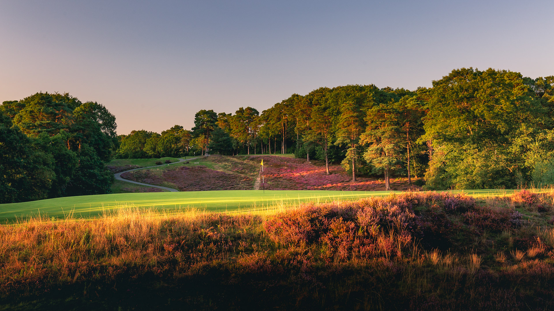 08th-Hole-St-Georges-Hill-Golf-Club-2471-Edit