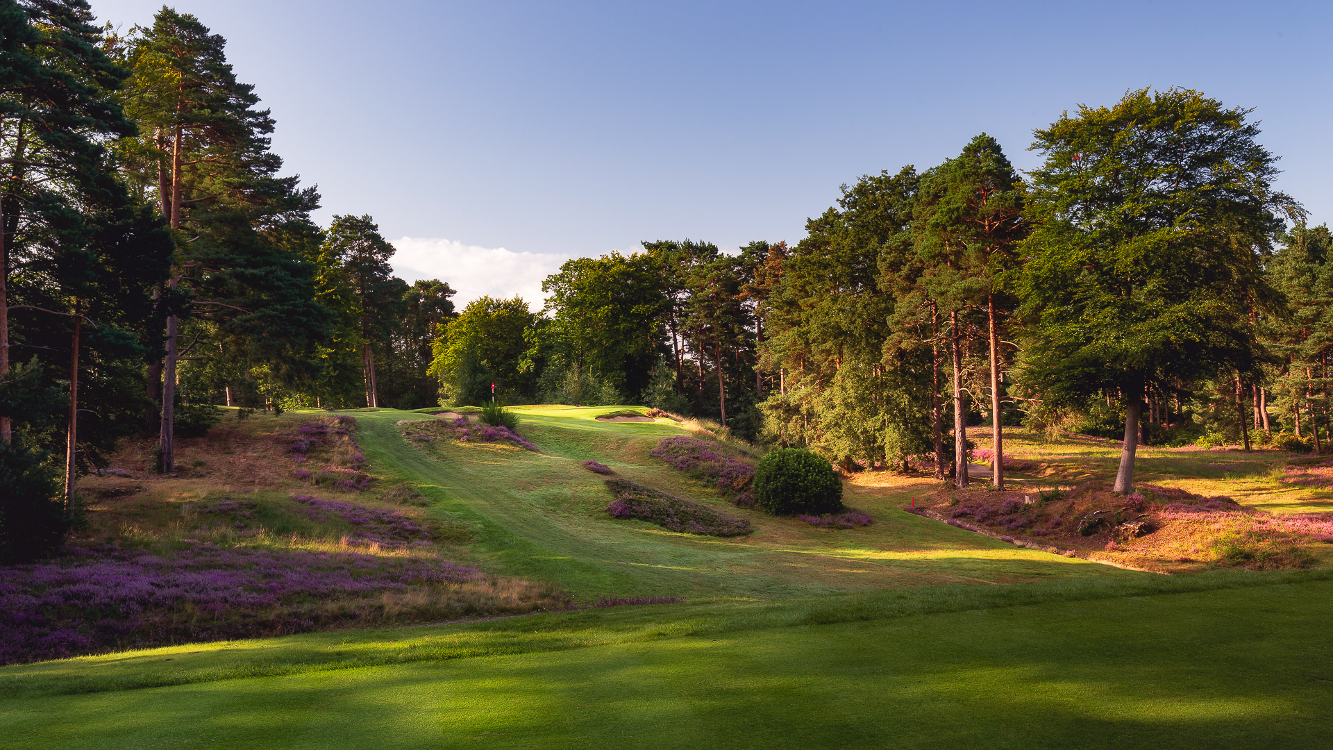 11th-Hole-St-Georges-Hill-Golf-Club-2090-Edit