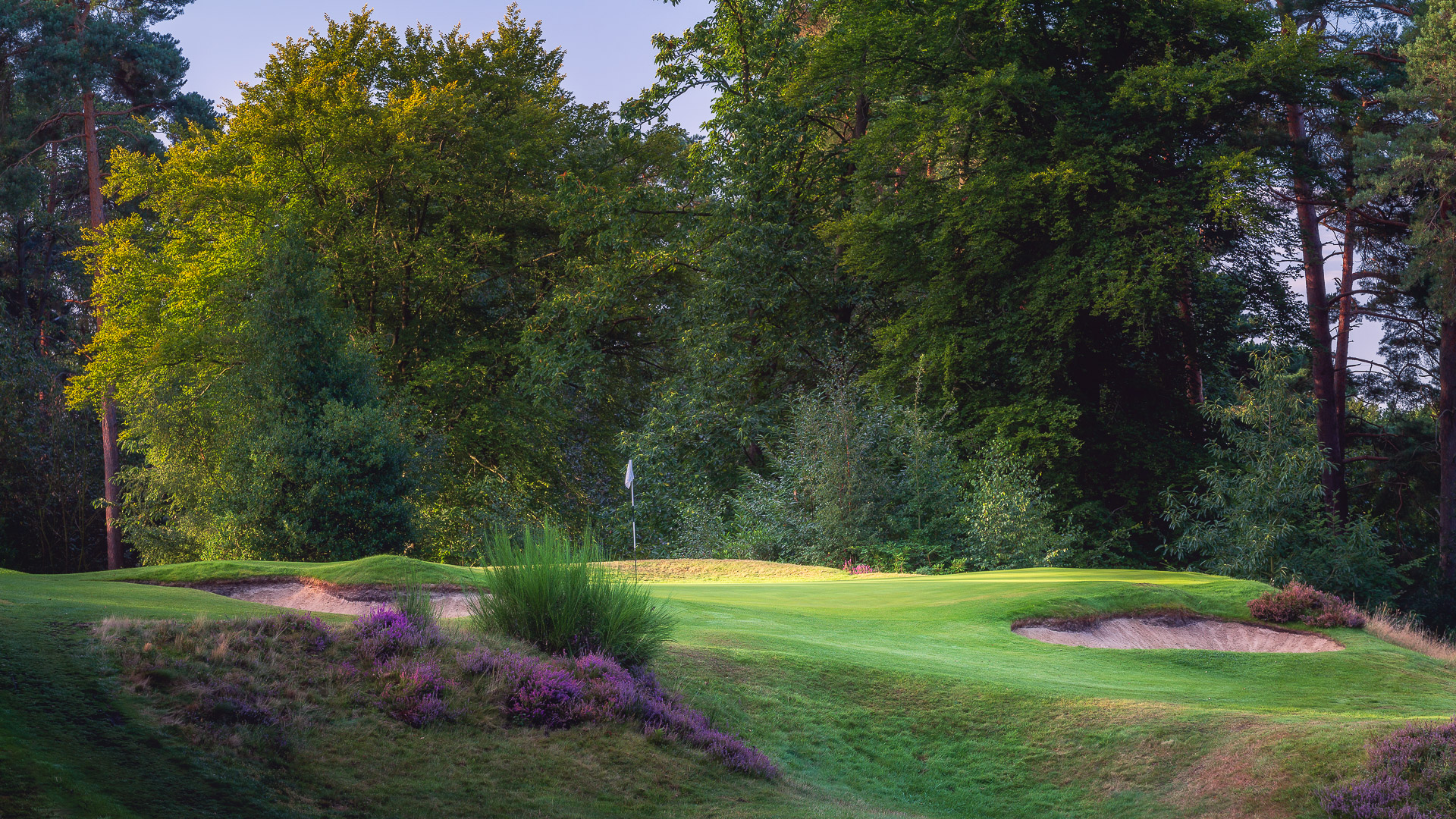 11th-Hole-St-Georges-Hill-Golf-Club-2168-Edit