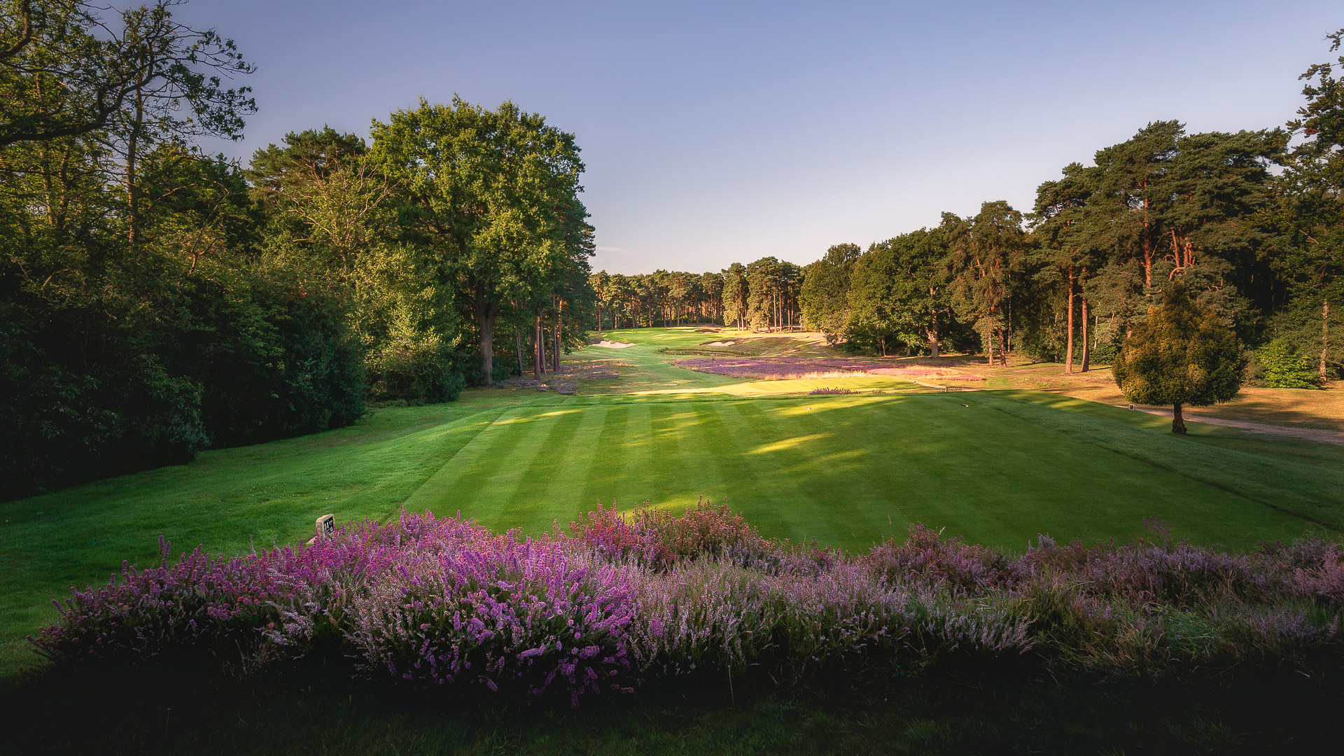 14th-Hole-St-Georges-Hill-Golf-Club-2230-Edit