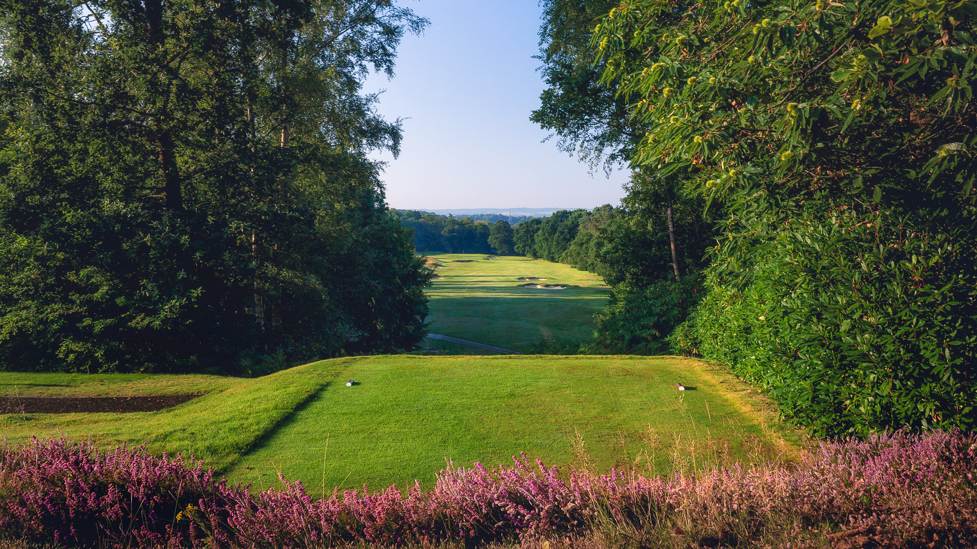 22nd-Hole-St-Georges-Hill-Golf-Club-2096-Edit