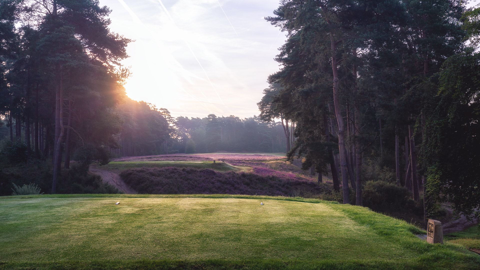 25th-Hole-St-Georges-Hill-Golf-Club-2050-Edit